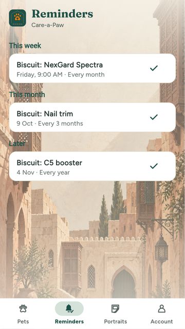 An a-Paw screen in the West Asia skin