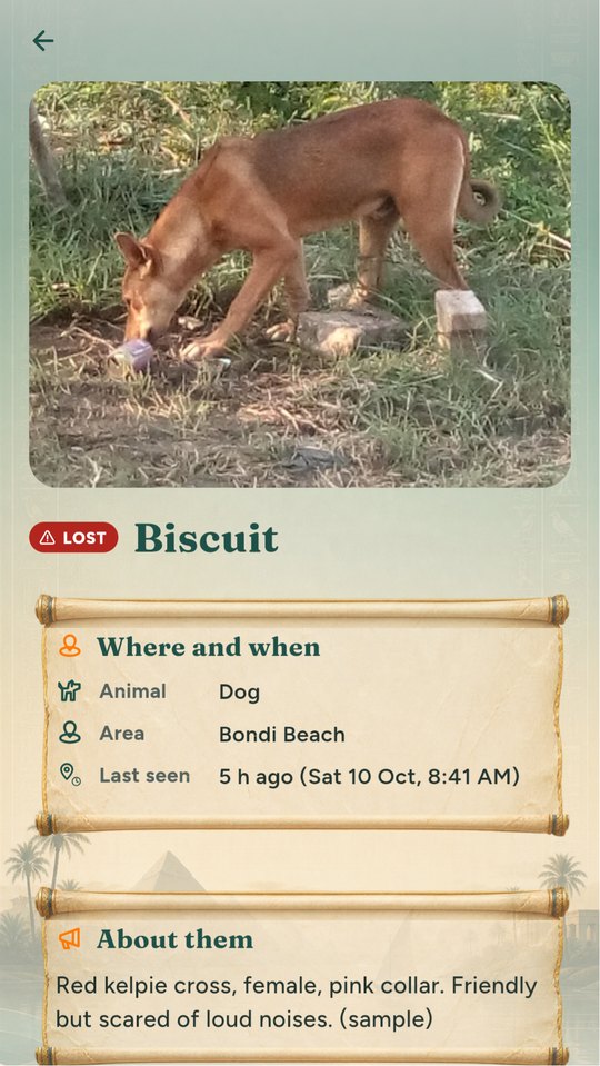 An alert, with what to look for