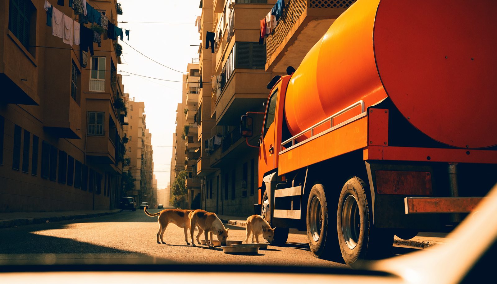 The truck parked on a Cairo street